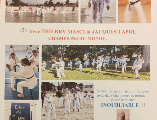 STAGE | Karaté à la Baule – 3 au 7 Août 2026